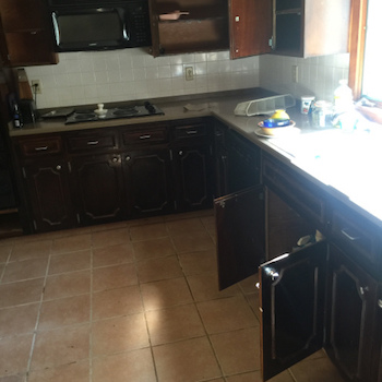 Bad Renter Image