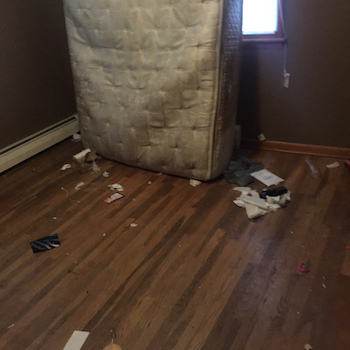 Bad Renter Image